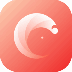 三条